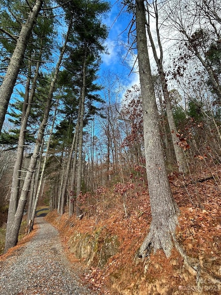 99999 Cowan Cove Rd, Asheville, NC 28806