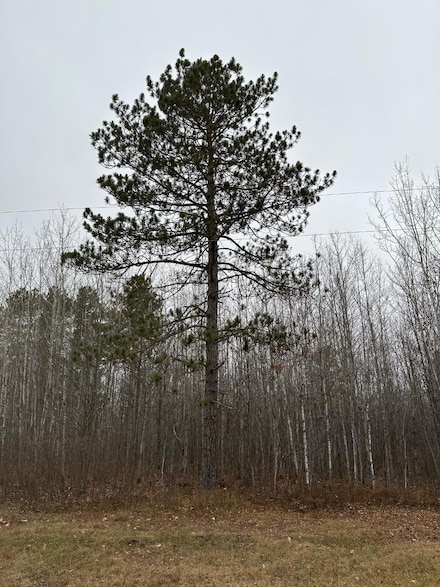 ON Burrows Lake Rd Unit 4067-B, Tomahawk, WI 54487