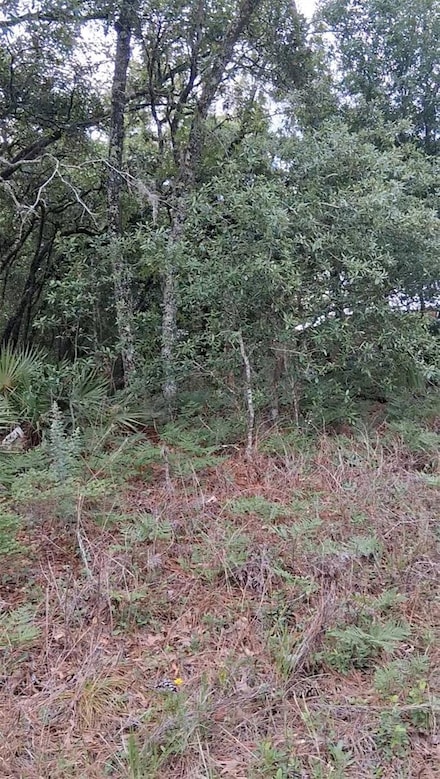 5887 / 5899 N Bedstrow Blvd, Dunnellon, FL 34434