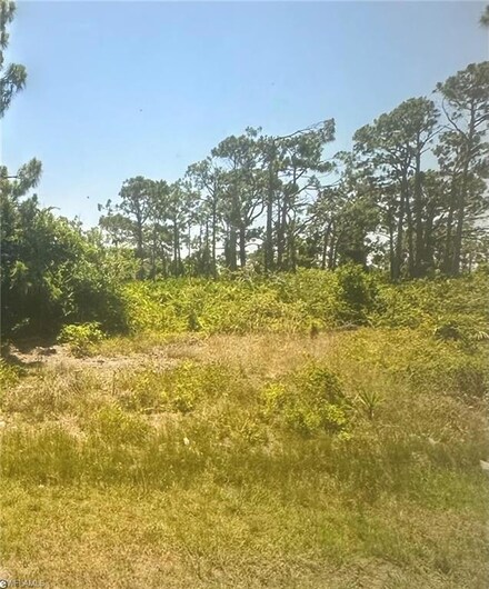 8234 Dimstead St, Port Charlotte, FL 33981
