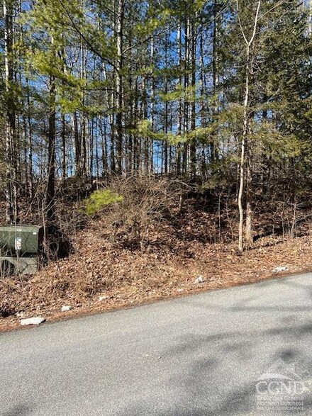 607 Sleepy Hollow Rd, Athens, NY 12015