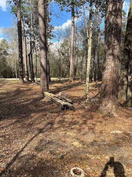 Lot 1 and 2 Mcclains Rd, Shepherd, TX 77371