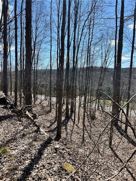 512 County Highway 18, Mount Upton, NY 13809