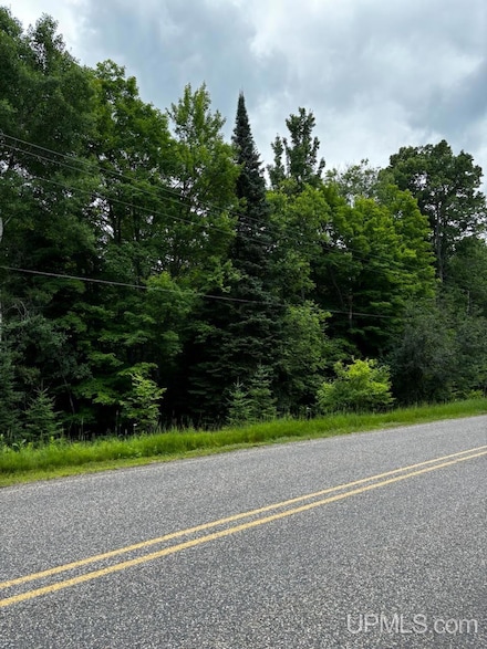 TBD Gibbs City Rd, Iron River, MI 49935