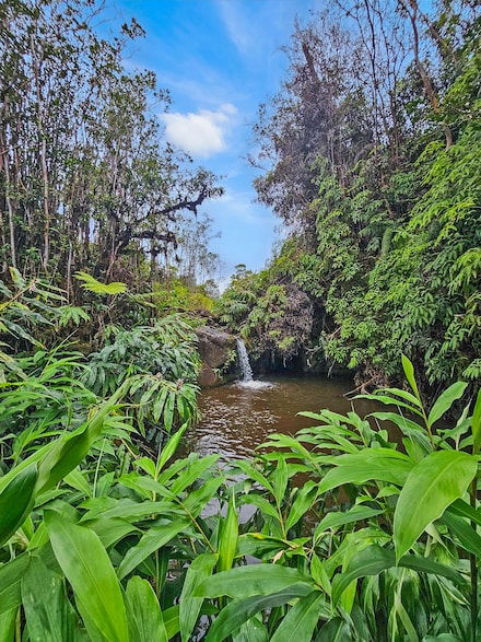2883 Kaiwiki Rd, Hilo, HI 96720