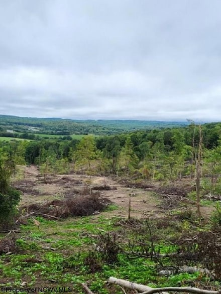Lot 4 998 Hanlin Rd, Bruceton Mills, WV 26525