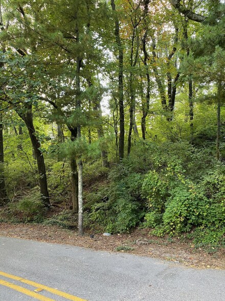 0 Forrest Ave N, Lookout Mountain, TN 37350