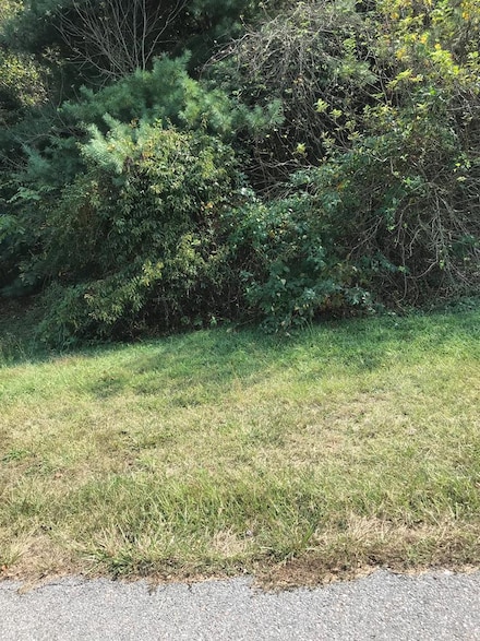 TBD Lot#37 Brooke St, Chilhowie, VA 24319