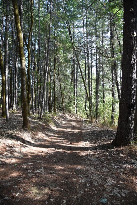 0 Lone Mountain Rd Unit TL600 102994727, O'Brien, OR 97534