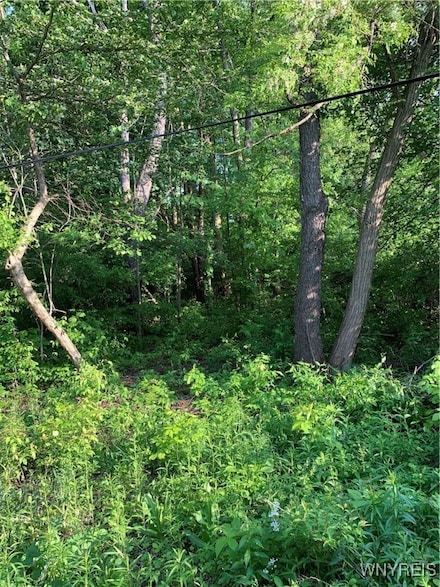 715 Monroe Ave, Lake Erie Beach, NY 14006