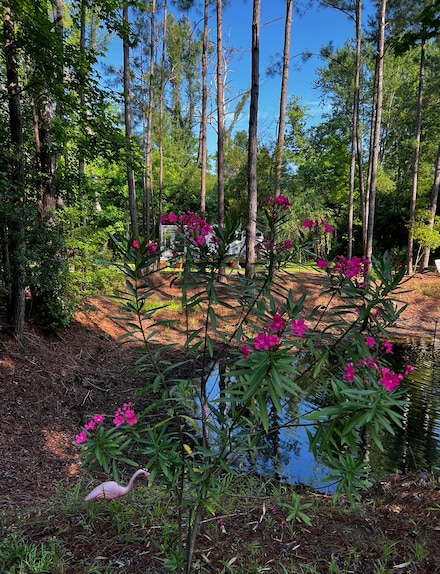7810 Turtle Hill Ln, Edisto Island, SC 29438