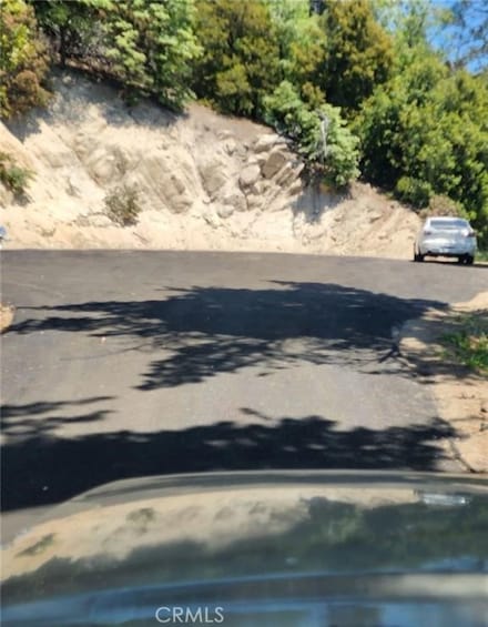 900 Lo Ln, Twin Peaks, CA 92391