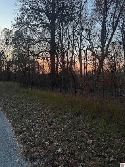0 Al Henn Rd Unit 129698, Cadiz, KY 42211
