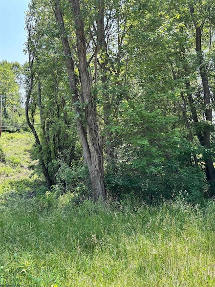 LOT 4 Barbour County Hwy, Philippi, WV 26416