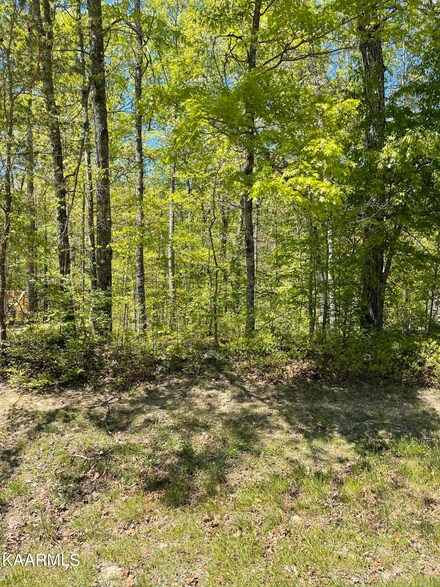 137 Shelley Ln, Crossville, TN 38558