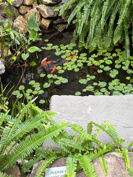 1357 NE Ocean Blvd Unit 316, Stuart, FL 34996