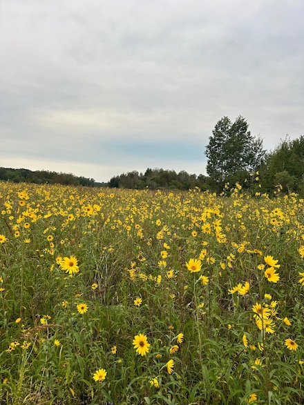 XXX County Road 66, Staples, MN 56479