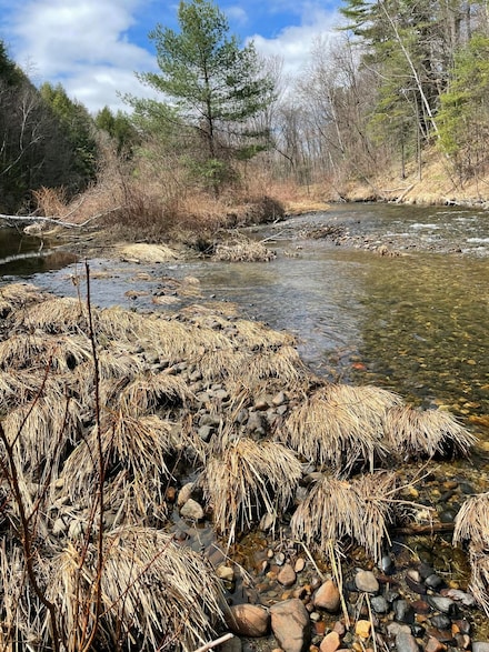 Lot 3 Village View St, Wilton, ME 04294