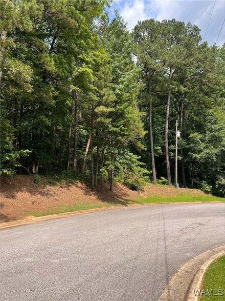 0 Rockford Dr, Northport, AL 35473