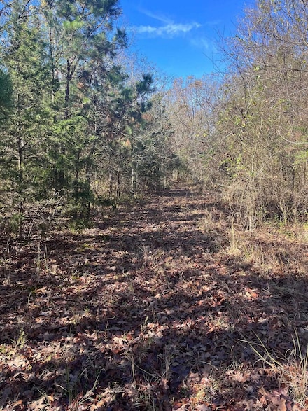 TBD Geyer, Mena, AR 71953