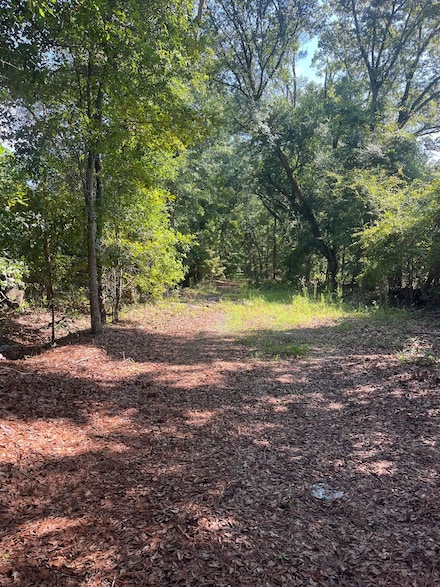 0 Palmer Rd, Ludowici, GA 31316