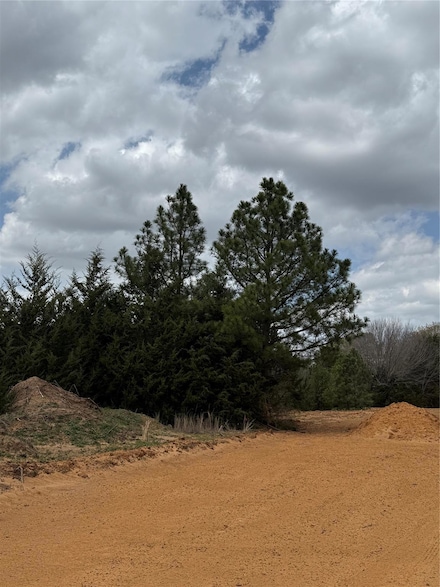 3552 Fm 3136 Lot 10, Coyote Flats, TX 76031