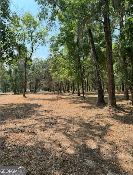 0 Pikes Pond Rd, Lake Park, GA 31636