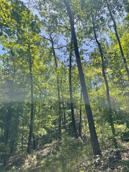0 Highway 79 Unit 26909, Bakerhill, AL 36027