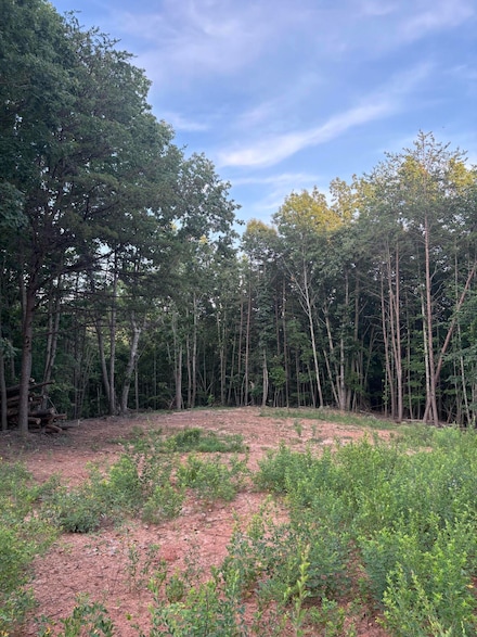 0 Lookout Mountain Rd, Horsepasture, VA 24112