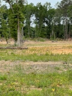 3860 Winfield Dr, Sumter, SC 29153
