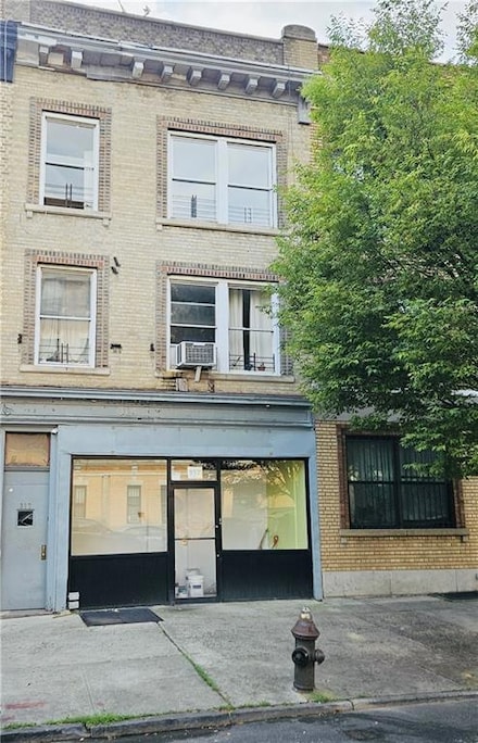 317 Albany Ave, Brooklyn, NY 11213
