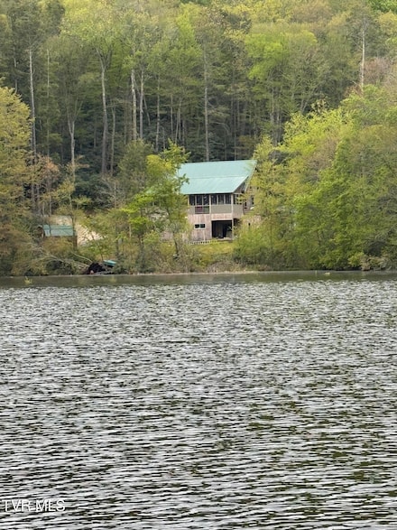 368 Ripshin Lake Rd, Roan Mountain, TN 37687