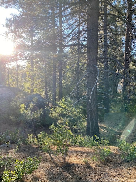 0 Cienega Unit PW20178991, Big Bear, CA 92315