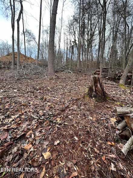 329 Island Cove Rd, Rocky Top, TN 37769