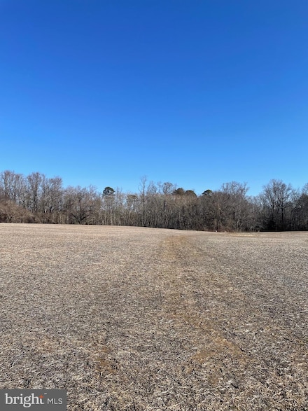 lots 1-4 Beaver Dam Rd, Trappe, MD 21673