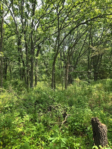 0 Ottaw Rd, Neodesha, KS 66757