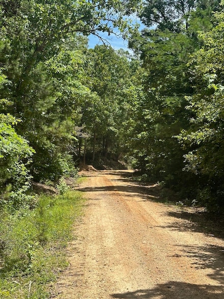 0 Cole Dr, Guin, AL 35563