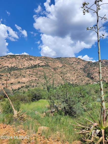 TBD N Hannon Ranch Ln, Bisbee, AZ 85603