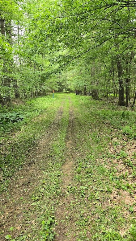 00 Morrison Hill Rd Lot Unit WP001, Tidioute, PA 16351