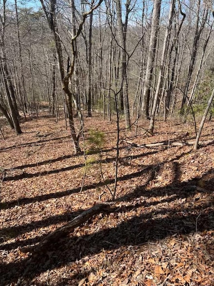 Lot 40 Timberland Trail, Franklin, NC 28734