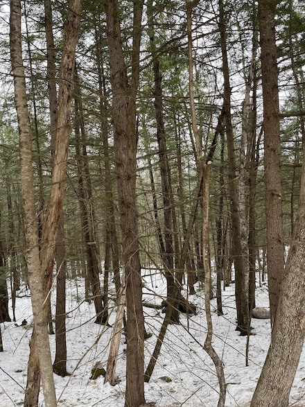 4-2-16 Morrill Cir, Campton, NH 03223