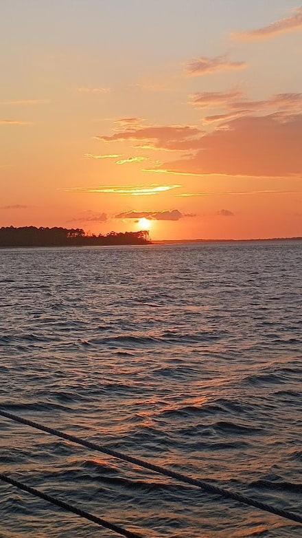 270 Island Flats Ln, Green Pond, SC 29446