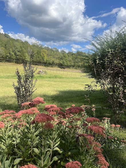 315 Trace Creek Rd, Whitleyville, TN 38588