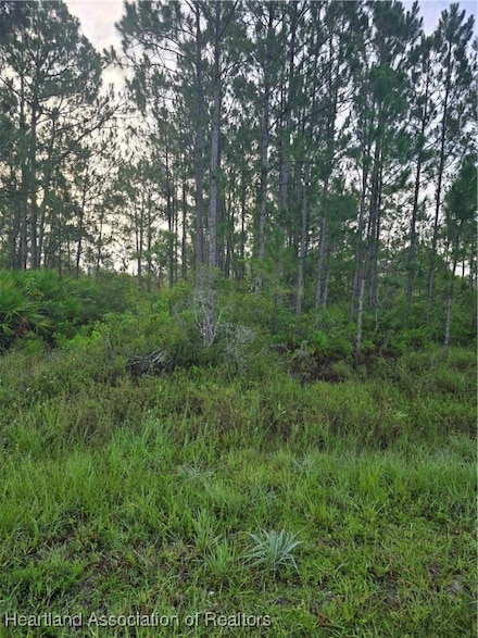 660 Seneca Dr NW, Lake Placid, FL 33852