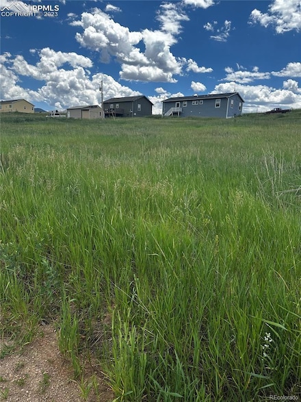 1298 Will Scarlet Dr, Divide, CO 80814