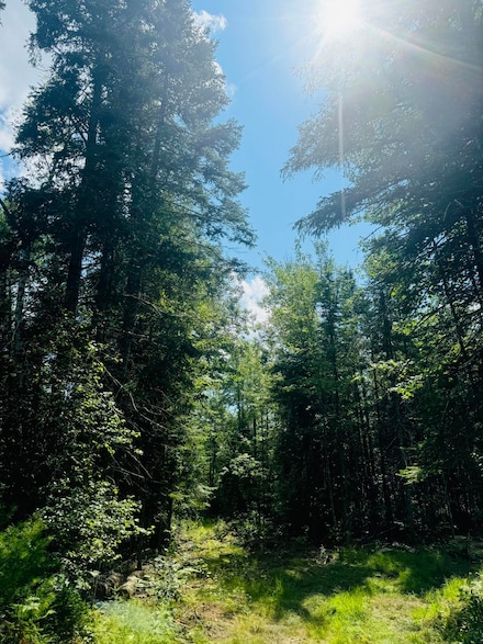 14-6 Hemlock Dr, Hudson, ME 04449