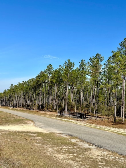 0 Lindsey Bridge Rd, Andalusia, AL 36420