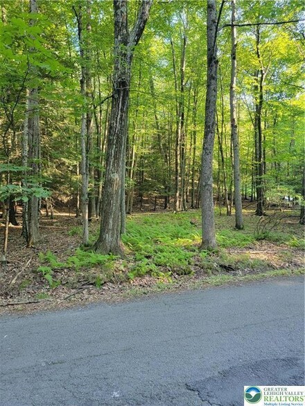 157 Pine Tree Dr Unit 306, Paradise Township, PA 18326