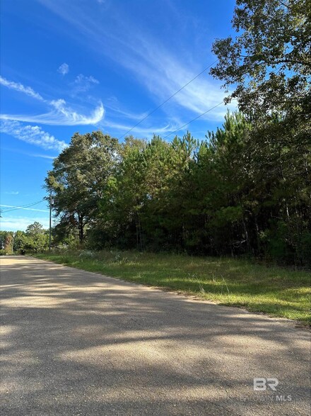 0 Tarra Ln, Brewton, AL 36426