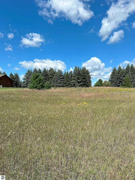 103 Blue Heron Dr, Orange Township, MI 49646
